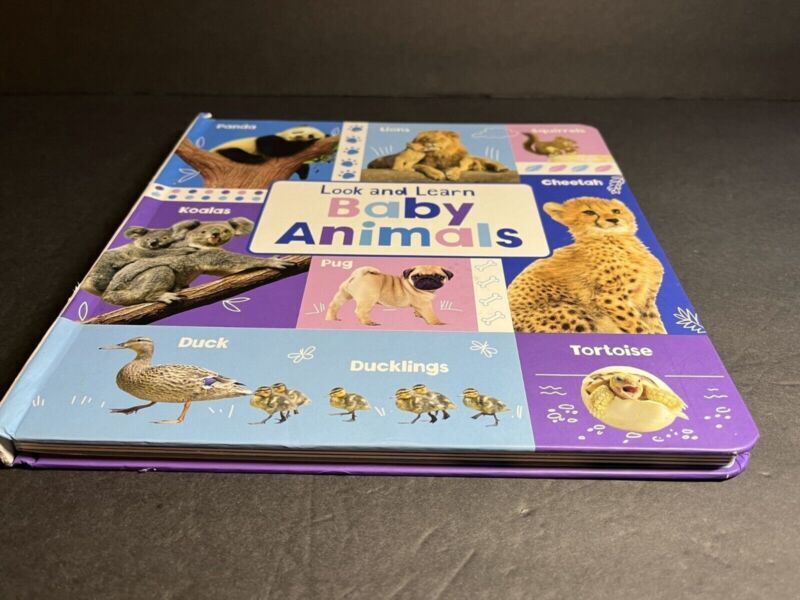 Look and Learn Baby Animals Kids Books by Page Publication Hardcover