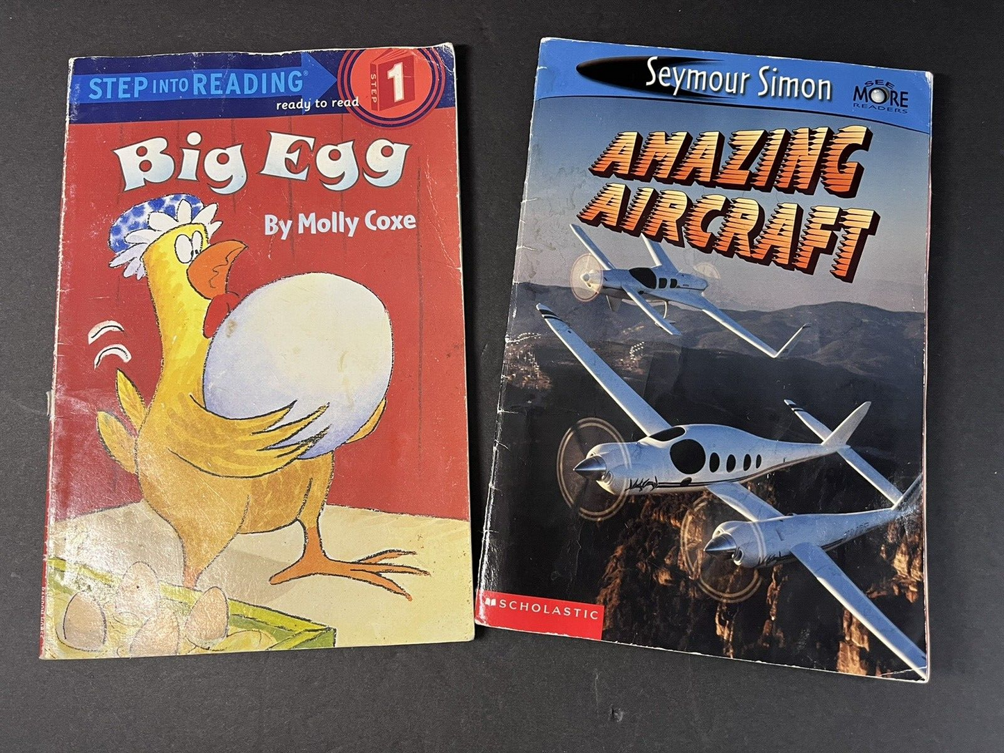 SeeMore Readers Ser Amazing Aircraft by Seymour Simon 2002 Trade Paperback 2 LOT