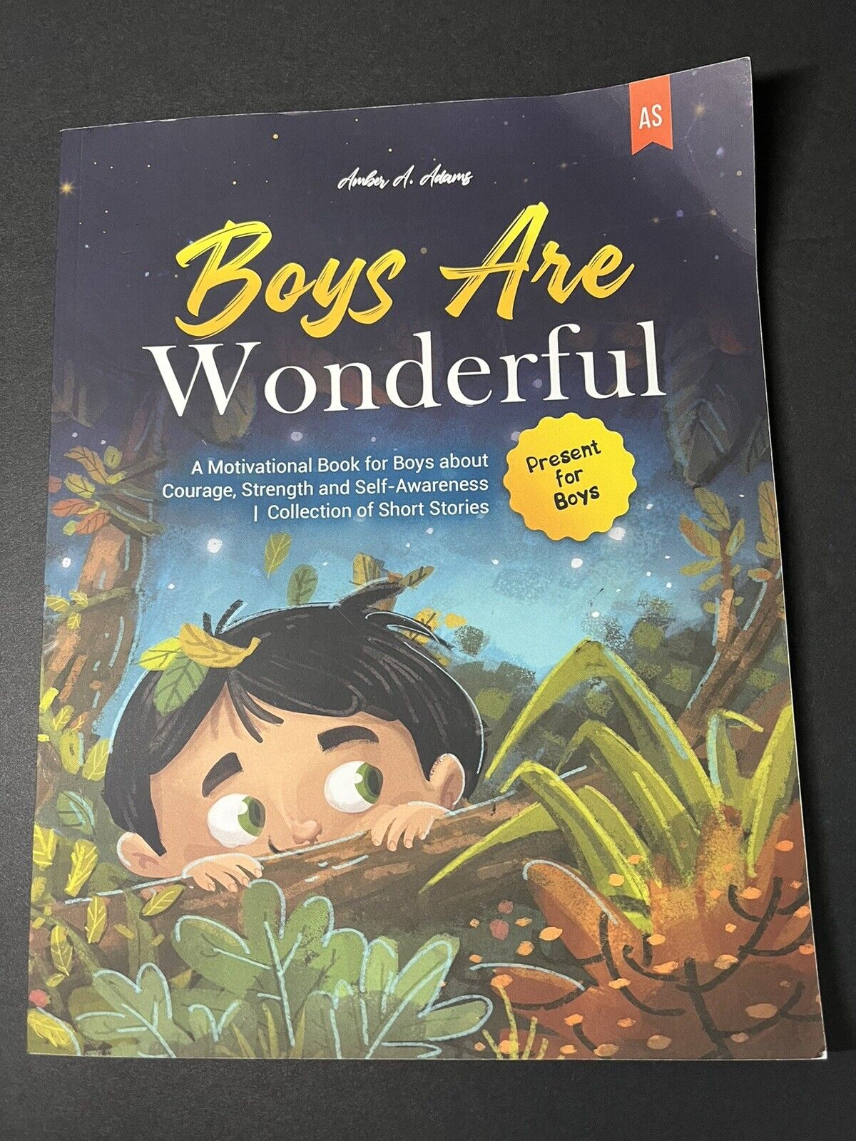 Boys Are Wonderful By Amber Adams Book..