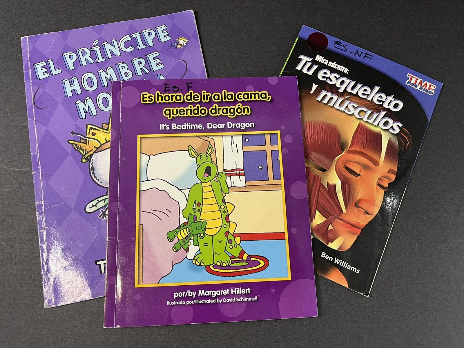 El príncipe Hombre Mosca Prince Fly Guy Spanish Edition Tedd Arnold LOT OF 3