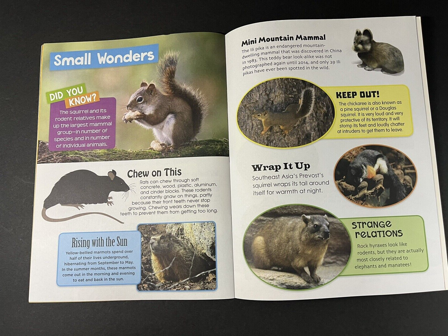 The Big Book of ANIMALS Facts plus Awesome Activities