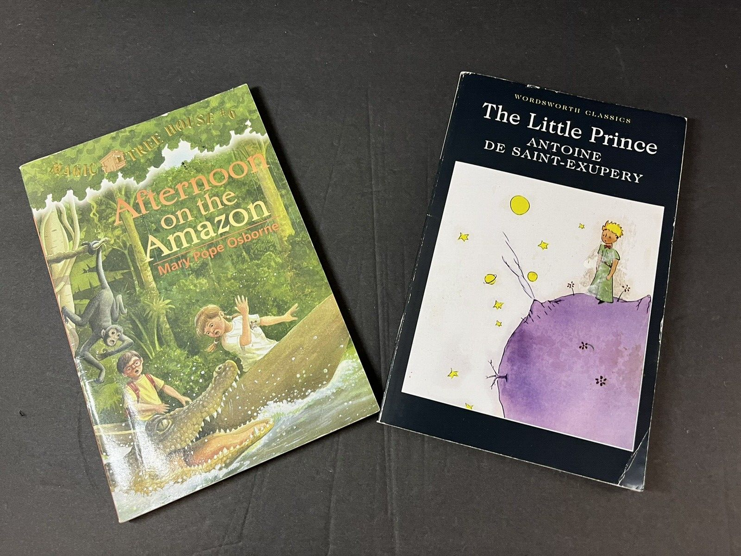 Afternoon on the Amazon by Mary Pope Osborne #6 lot of 2 book