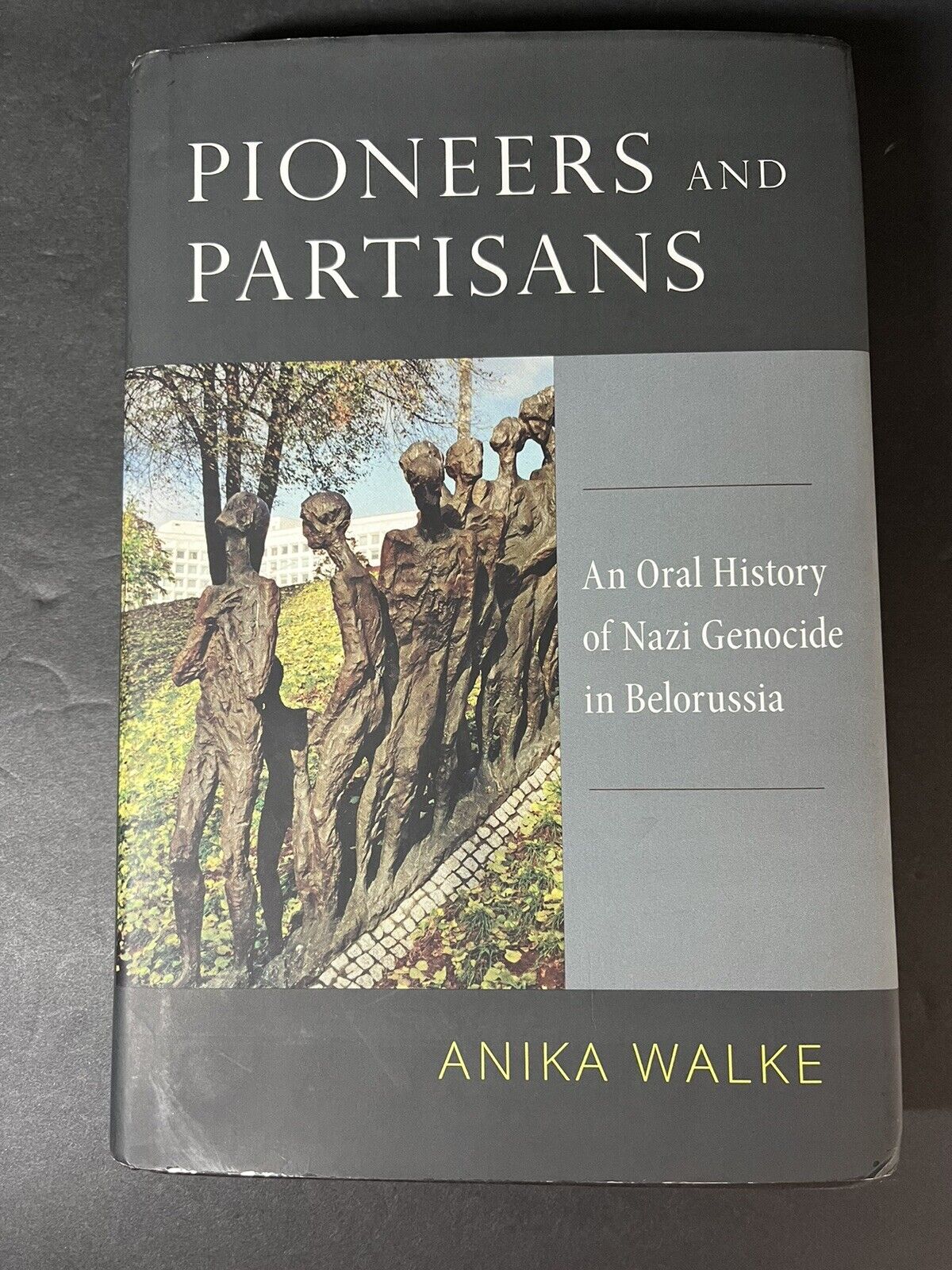 Pioneers and Partisans: An Oral History of Nazi Genocide in Belorussia..