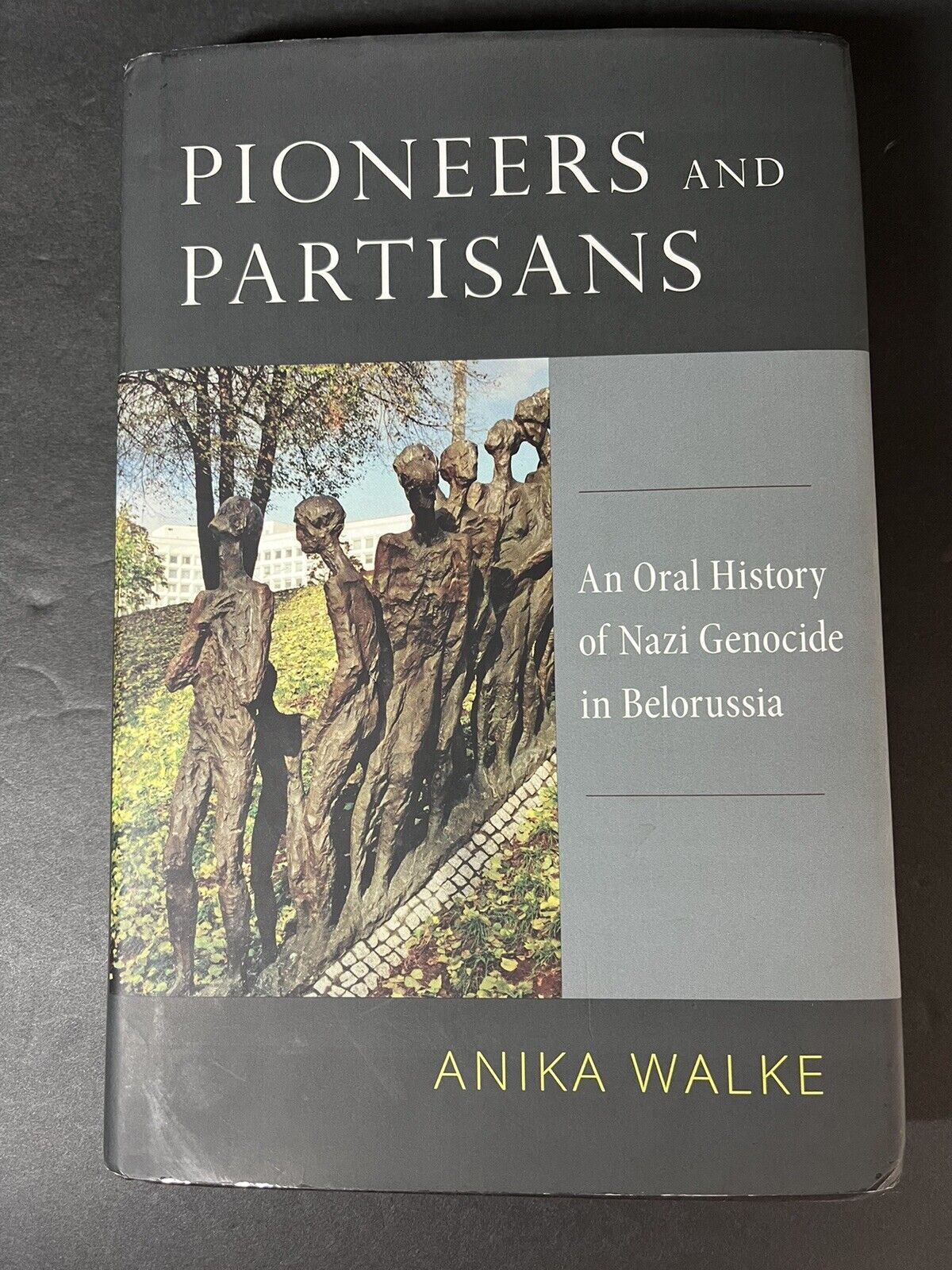 Pioneers and Partisans: An Oral History of Nazi Genocide in Belorussia..