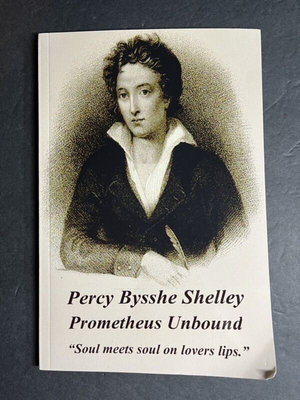 Percy Bysshe Shelley Percy Bysshe Shelley - The Cenci (Paperback)